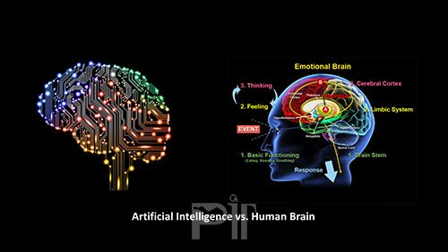 کمک هوش مصنوعی به کشف پیچیدگی‌های حافظه انسان